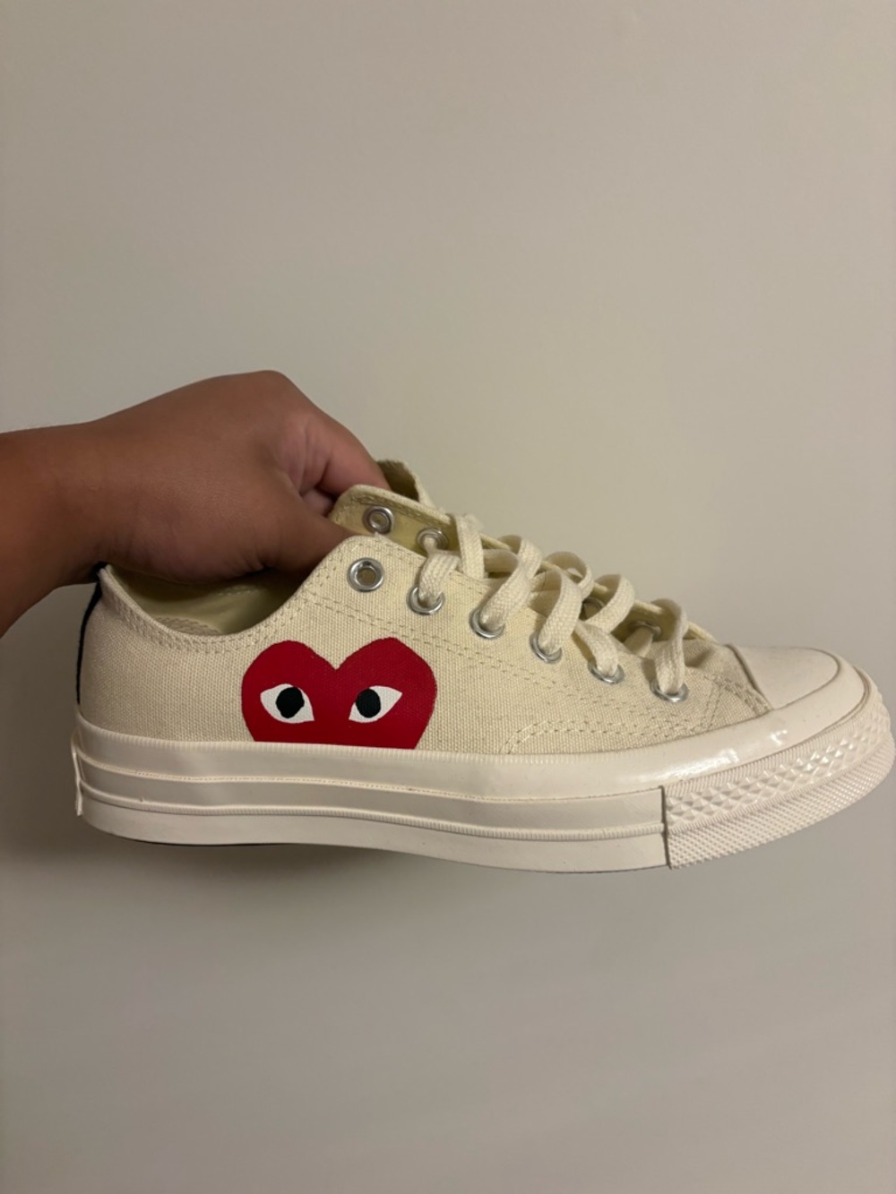 Comme De Garcon x Converse Unisex low tops